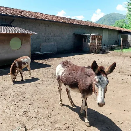 Les Maisons Della Fattoria By Interhome Lägenhet